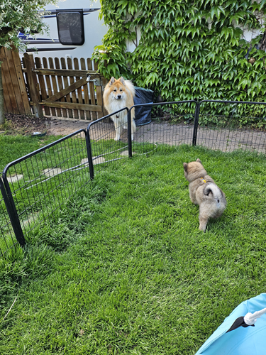 Ich bin dein Vater Drte.png